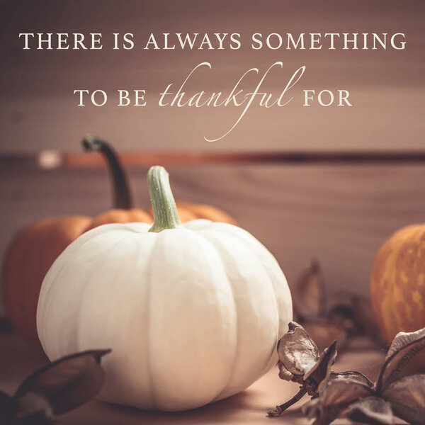 Осенний оранжевый и белый тыквы благодарения Хэллоуин деревянный ящик с копировальным местом. Квадратный шаблон для осеннего настроения
