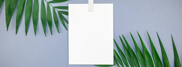 Creative Top View Mock Blank Paper Sheet Postcard Clipboard Tropical — Stock Photo, Image