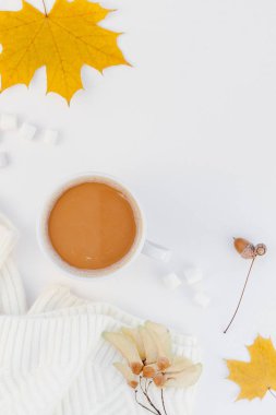 Yaratıcı sonbahar düz yatıyordu ek yükü üstten görünüm kahve Kupası beyaz arka plan kopya alanı en az tarzı sonbahar kış sezonu şablonuna kadınsı blog sosyal medya için sıcak örme kazak