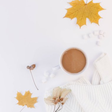 Yaratıcı sonbahar düz yatıyordu ek yükü üstten görünüm kahve Kupası beyaz arka plan kopya alanı en az tarzı sonbahar kış sezonu şablonuna kadınsı blog sosyal medya için sıcak örme kazak