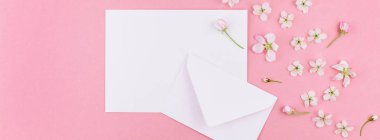 Yaratıcı düz boş mektup zarfının uzun geniş afiş lay ve en az tarzı, kutlama, Sevgililer kartları için şablon alan bahar kiraz ağacı çiçekleri ile bin yıllık pembe arka plan üzerinde kopyalama