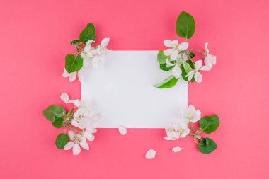 Boş Kartpostal çerçeve sahte kavramı en iyi görünümünü yaratıcı düz yığmak ve elma ağacı yaprakları üzerinde pastel pembe arka plan kopya alanı en az stili, yazı, metin veya tasarım şablonu ile çiçekler