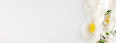Güzel çiçek beyaz şakayık çiçekleri kopya alanı en az tarzı, şablon tasarımınızın mermer zemin üzerine. Düğün davetiyesi ve kutlama tebrik kavramı. Uzun geniş afiş