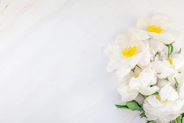 Hermosas Flores Peonía Blanca Flor Sobre Fondo Mármol Con Espacio — Foto de Stock