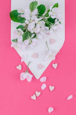 Yaratıcı düz kavramı üstten görünüm boş mektup zarfının yatıyordu ve elma ağacı çiçek ile bin yıllık pembe arka plan üzerinde alanı kopyalayın en az tarzı, kutlama, davet, Sevgililer kartları için şablon