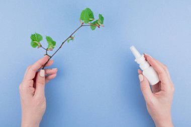 Mevsimlik bahar polen alerji ile yaratıcı düz yatıyordu kavramı damla bir erkek bir şişe içinde elleri ve taze yeşil lahanası tomurcukları ile kopya alanı ile en az stil, şablon metin için arka plan