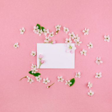 Kare düz kavramı üstten görünüm boş mektup zarfının lay ve en az tarzı, kutlama, Sevgililer kartları için şablon alan bahar kiraz ağacı çiçekleri ile bin yıllık pembe arka plan üzerinde kopyalama