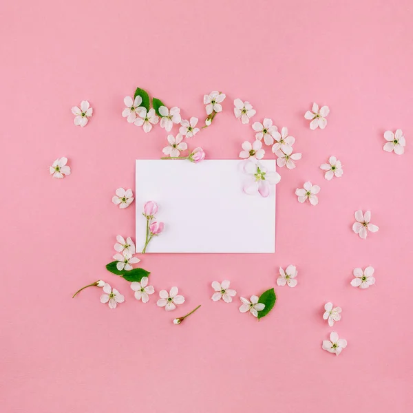 Square flat lay concept top view of blank letter envelope and spring cherry tree flowers on millennial pink background with copy space in minimal style, template for celebration, valentine cards