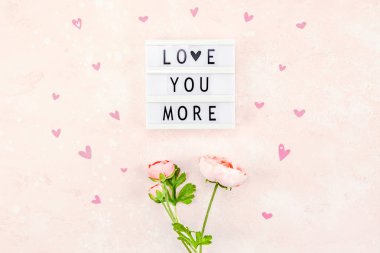 Üstten görünüm aşk tatil kutlama kırmızı kalp lightbox pembe arka plan kopya alanı şablonu tebrik kartı metin tasarım sosyal medya Bloglar ile yaratıcı Sevgililer günü romantik kompozisyon düz yatıyordu