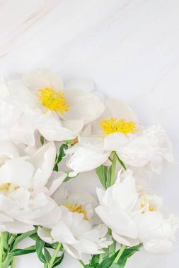 Güzel kopya alanı en az tarzı, kartpostal, yazı, metin veya tasarım şablonu mermer zemin üzerine beyaz şakayık çiçekleri blooming. Düğün davetiyesi ve kutlama tebrik kavramı