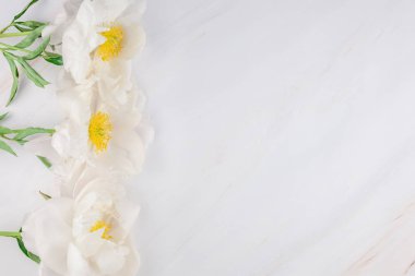 Güzel kopya alanı en az tarzı, kartpostal, yazı, metin veya tasarım şablonu mermer zemin üzerine beyaz şakayık çiçekleri blooming. Düğün davetiyesi ve kutlama tebrik kavramı