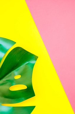 Tropikal orman palm monstera parlak sarı ve pembe kağıt arka plan üzerinde bırakır. Yaz yaratıcı düz metin için kavram şablon koymak