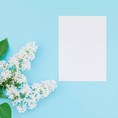 Boş Kartpostal çerçeve sahte kavramı en iyi görünümünü kare düz yığmak ve yaprakları kopya alanı en az stili, yazı, metin veya tasarım şablonu pastel mavi zemin üzerine beyaz leylak çiçekler