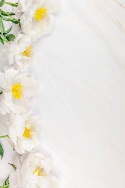 Güzel kopya alanı en az tarzı, kartpostal, yazı, metin veya tasarım şablonu mermer zemin üzerine beyaz şakayık çiçekleri blooming. Düğün davetiyesi ve kutlama tebrik kavramı