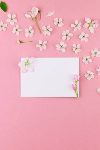 Creative flat lay concept top view of blank letter envelope and spring cherry tree flowers on millennial pink background with copy space in minimal style, template for celebration, valentine cards