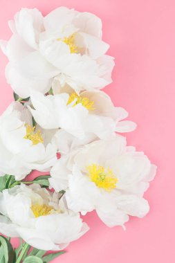 Çiçek beyaz şakayık pastel renk Kağıt arka plan kopya alanı en az tarzı, kartpostal, yazı, metin için şablon ile tasarımınızı çiçekler. Düğün davetiyesi ve kutlama tebrik kavramı