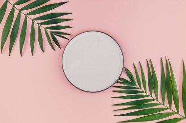 Yaratıcı düz yeşil tropikal palmiye yaprak üstten görünüm boş plaka ile bin yıllık pembe Kağıt arka plan kopya yer sahte yatıyordu. En az tropikal palmiye yaprağı bitkiler yaz kavramı şablon metin veya tasarım için