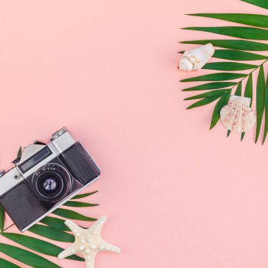 Yaratıcı düz tropikal palmiye yaprakları yeşil ve eski fotoğraf makinesi üstten görünüm bin yıllık pembe Kağıt arka plan üzerinde kopya alanı ile yatıyordu. En az tropikal palmiye yaprağı bitki yaz seyahat kavramı şablonu