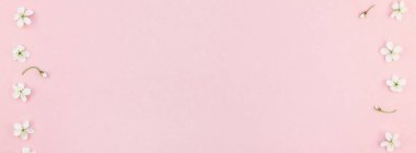 Bin yıllık pembe arka plan kopya alanı en az stili, yazı, metin veya tasarım şablonu ile desen çerçeve yaratıcı üstten görünüm kiraz ağacı çiçek açan çiçekler