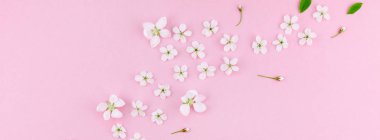 Bin yıllık pembe arka plan kopya alanı en az stili, yazı, metin veya tasarım şablonu ile desen çerçeve yaratıcı üstten görünüm kiraz ağacı çiçek açan çiçekler