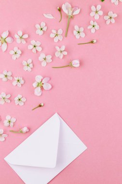 Yaratıcı düz kavramı üstten görünüm boş mektup zarfının lay ve en az tarzı, kutlama, Sevgililer kartları için şablon alan bahar kiraz ağacı çiçekleri ile bin yıllık pembe arka plan üzerinde kopyalama