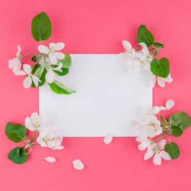 Boş Kartpostal çerçeve sahte kavramı en iyi görünümünü kare düz yığmak ve elma ağacı yaprakları üzerinde pastel pembe arka plan kopya alanı en az stili, yazı, metin veya tasarım şablonu ile çiçekler
