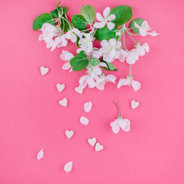 Yaratıcı üstten görünüm elma ağacı çiçek açan çiçekler brunch karede bin yıllık pembe arka plan kopya alanı en az stili, yazı, metin veya tasarım şablonu ile