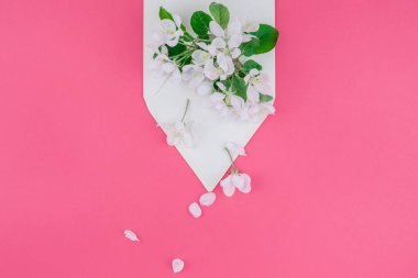 Yaratıcı düz kavramı üstten görünüm boş mektup zarfının yatıyordu ve elma ağacı çiçek ile bin yıllık pembe arka plan üzerinde alanı kopyalayın en az tarzı, kutlama, davet, Sevgililer kartları için şablon