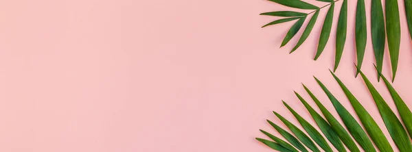 Kreatív Lapos Laikus Felülnézet Zöld Trópusi Pálma Levelek Ezeréves Rózsaszínű — Stock Fotó