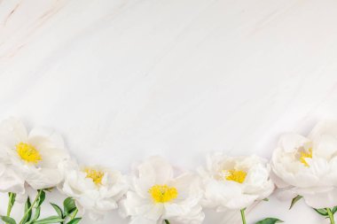 Güzel kopya alanı en az tarzı, kartpostal, yazı, metin veya tasarım şablonu mermer zemin üzerine beyaz şakayık çiçekleri blooming. Düğün davetiyesi ve kutlama tebrik kavramı