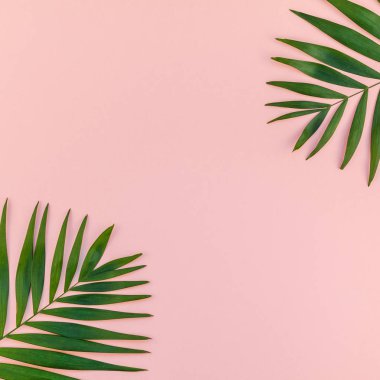 Yaratıcı düz yatıyordu üstten görünüm yeşil tropikal palmiye bin yıllık pembe Kağıt arka plan kopya alanı ananas ile bırakır. En az tropikal palmiye yaprağı bitkiler yaz kavramı şablon metin veya tasarım için