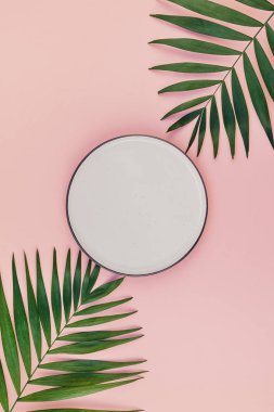 Yaratıcı düz yeşil tropikal palmiye yaprak üstten görünüm boş plaka ile bin yıllık pembe Kağıt arka plan kopya yer sahte yatıyordu. En az tropikal palmiye yaprağı bitki yaz şablon metin veya tasarım için