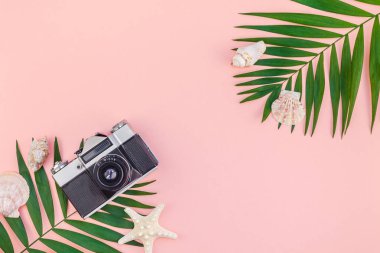 Yaratıcı düz tropikal palmiye yaprakları yeşil ve eski fotoğraf makinesi üstten görünüm bin yıllık pembe Kağıt arka plan üzerinde kopya alanı ile yatıyordu. En az tropikal palmiye yaprağı bitki yaz seyahat kavramı şablonu