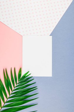 Yaratıcı düz üstten görünüm sahte yeşil tropikal palmiye yaprakları hindistancevizi boş kağıt sayfası pembe Kartpostal arka plan kopya alanı kadar yatıyordu. En az tropikal palmiye yaprağı bitki yaz seyahat kavramı şablonu