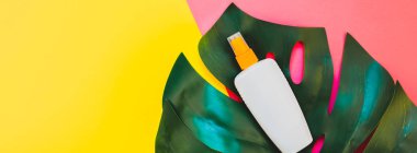 Tropikal orman palmiye monstera yaprakları ve güneş koruyucu boş şişe mockup parlak sarı ve pembe çift ton kağıt arka plan üzerinde. Yaz yaratıcı düz yatıyordu kavramı Şablon metnini tatiller. Uzun geniş afiş