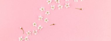 Bin yıllık pembe arka plan kopya alanı en az stili, yazı, metin veya tasarım şablonu ile desen çerçeve yaratıcı üstten görünüm kiraz ağacı çiçek açan çiçekler