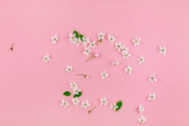 Bin yıllık pembe arka plan kopya alanı en az stili, yazı, metin veya tasarım şablonu ile desen çerçeve yaratıcı üstten görünüm kiraz ağacı çiçek açan çiçekler