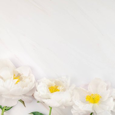 Güzel çiçek beyaz şakayık çiçekleri mermer zemin üzerine alan en az tarzı, kartpostal, metin veya tasarımınızı kare şablon kopyalayın. Düğün davetiyesi ve kutlama tebrik kavramı