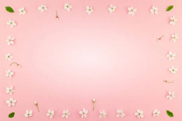 Kreative Draufsicht Kirschbaum Blühende Blumen Rahmenmuster Auf Tausendjährigem Rosa Hintergrund — Stockfoto
