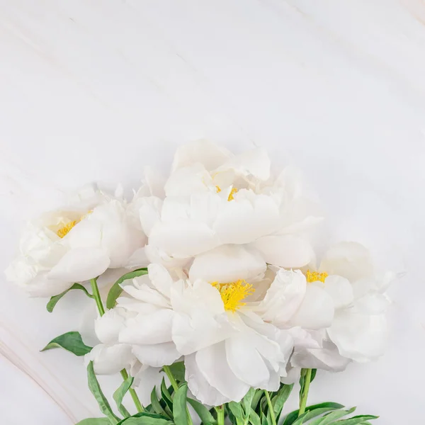 Hermosas Flores Peonía Blanca Flor Sobre Fondo Mármol Con Espacio — Foto de Stock