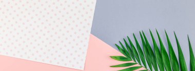 Yaratıcı düz renk Kağıt arka plan kopya alanı ile tropikal palmiye yaprak yeşil üstten görünüm yatıyordu. En az tropikal palmiye yaprağı bitkiler yaz kavramı şablon metin veya tasarım için
