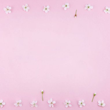 Bin yıllık pembe arka plan kopya alanı en az stili, yazı, metin veya tasarım şablonu ile desen çerçeve yaratıcı üstten görünüm kiraz ağacı çiçek açan çiçekler