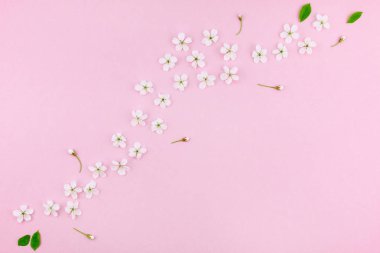 Bin yıllık pembe arka plan kopya alanı en az stili, yazı, metin veya tasarım şablonu ile desen çerçeve yaratıcı üstten görünüm kiraz ağacı çiçek açan çiçekler