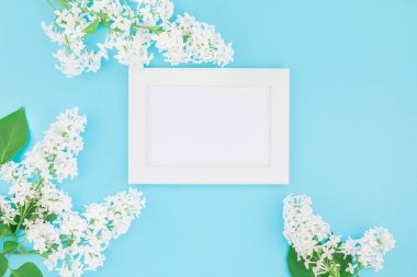 Boş Kartpostal çerçeve sahte kavramı en iyi görünümünü yaratıcı düz yığmak ve yaprakları kopya alanı en az stili, yazı, metin veya tasarım şablonu pastel mavi zemin üzerine beyaz leylak çiçekler