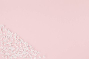 Yaprakları kopya alanı en az stili, yazı, metin veya tasarım şablonu ile pastel pembe arka plan üzerinde beyaz leylak yaratıcı düz yatıyordu kavramı en iyi görünümünü çiçekler