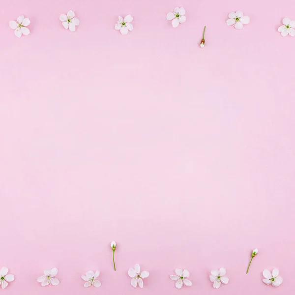 Δημιουργική Κάτοψη Κερασιά Ανθισμένα Λουλούδια Πλαίσιο Μοτίβο Χιλιετή Ροζ Φόντο — Φωτογραφία Αρχείου