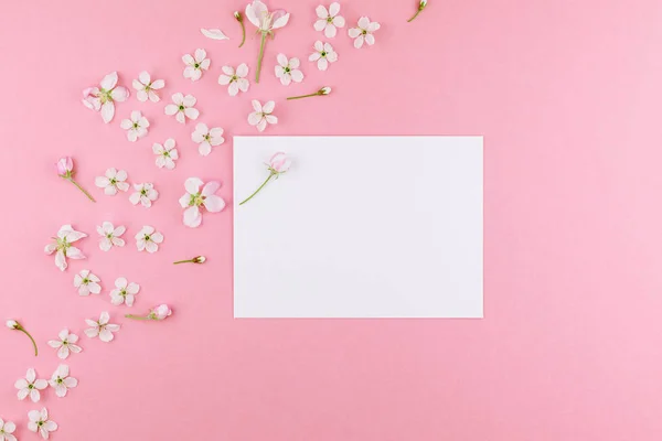 Creative flat lay concept top view of blank postcard frame mock up and cherry tree flowers on pastel millennial pink background with copy space in minimal style, template for lettering, text or design
