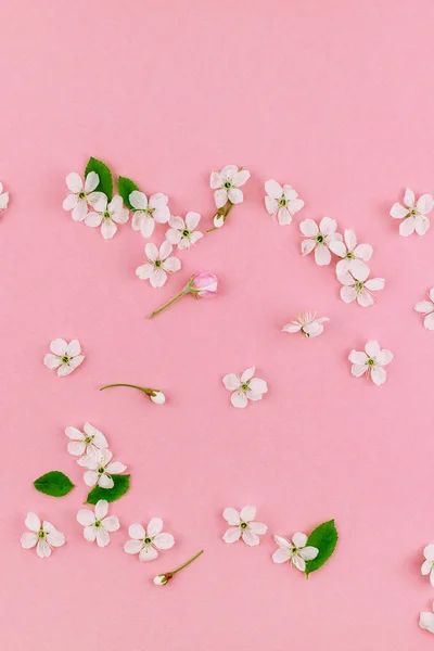 Creatieve Bovenaanzicht Kersenboom Bloeiende Bloemen Frame Patroon Duizendjarige Roze Achtergrond — Stockfoto