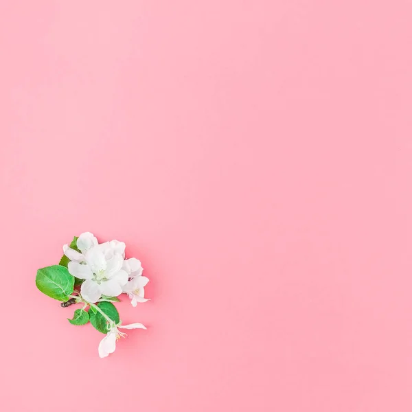 Creatieve Bovenaanzicht Apple Tree Bloeiende Bloemen Brunch Frame Duizendjarige Roze — Stockfoto