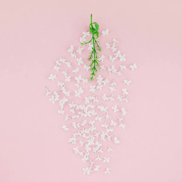 Δημιουργική Ιδέα Επίπεδη Lay Κάτοψη Του Λευκού Λιλά Λουλούδια Πέταλα — Φωτογραφία Αρχείου